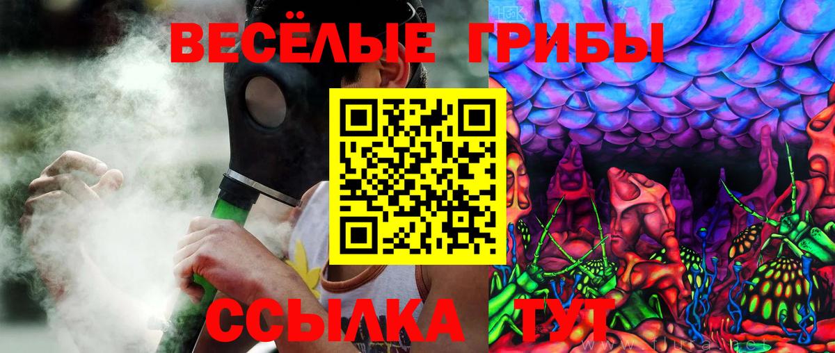 Псилоцибиновые грибы MAGIC MUSHROOMS  Вход с VPN  Галлюциногенные грибы Psilocybine cubensis  Троицк 